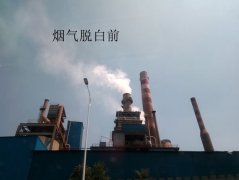 冷凝煙氣消白設(shè)備